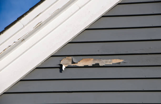 Best Carpet Removal and Disposal  in Corvallis, MT