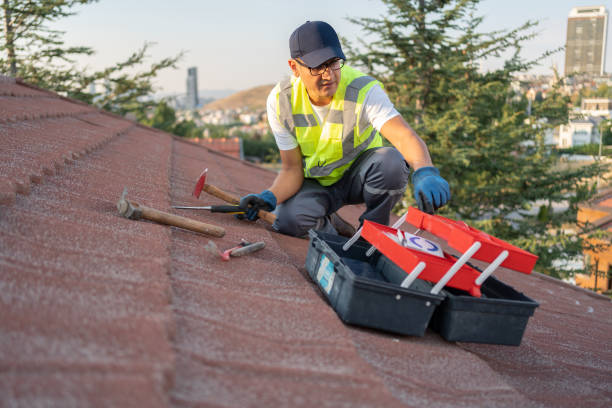 Best Carpet Removal and Disposal  in Corvallis, MT